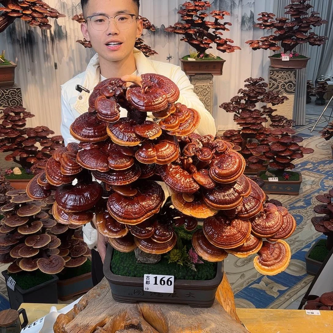 无花朵8888888888888