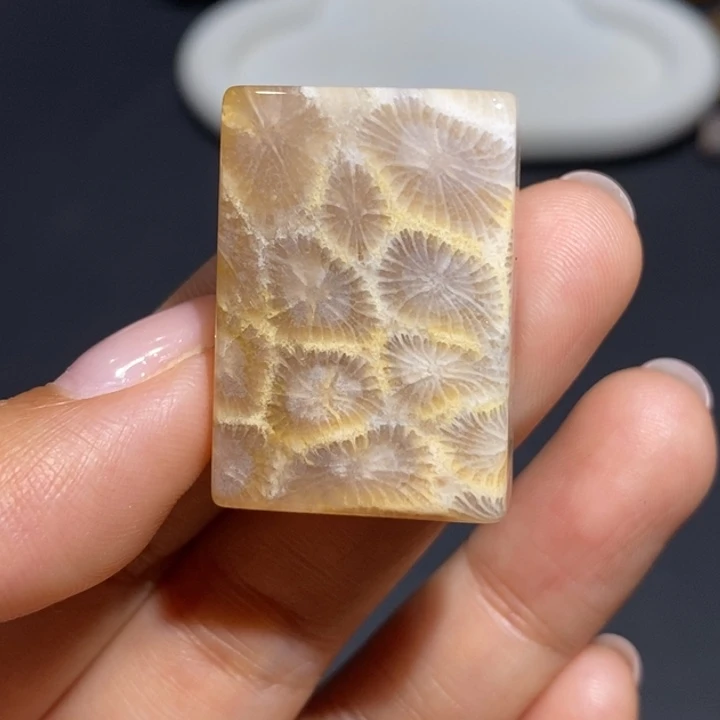 【闪购商品】未镶嵌珊瑚玉硅化玉