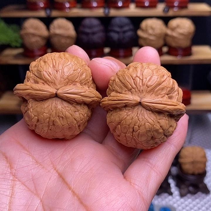 文玩核桃吊坠小****）金龟玉甲100