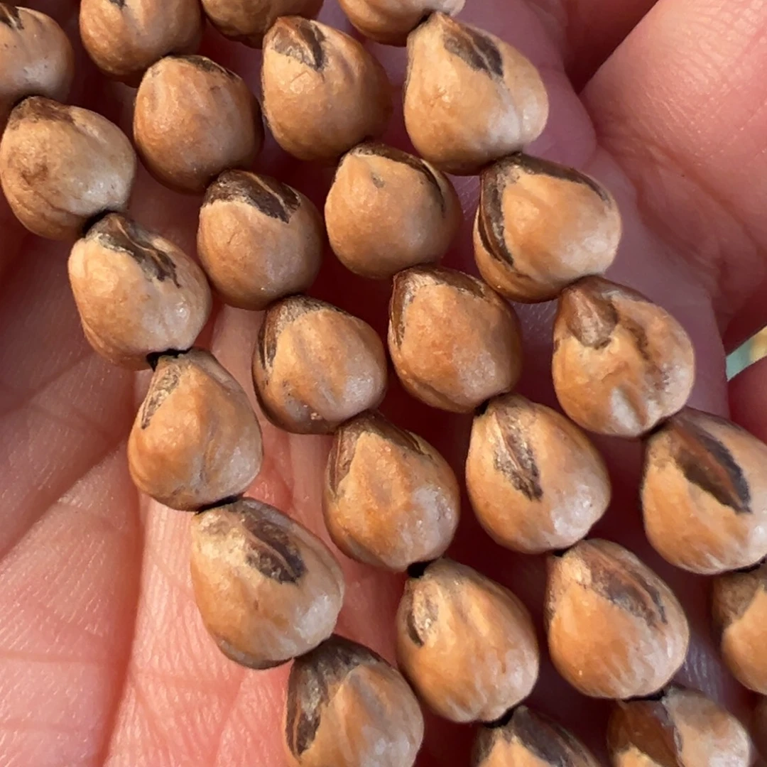 吊坠柏香籽/百香籽F951