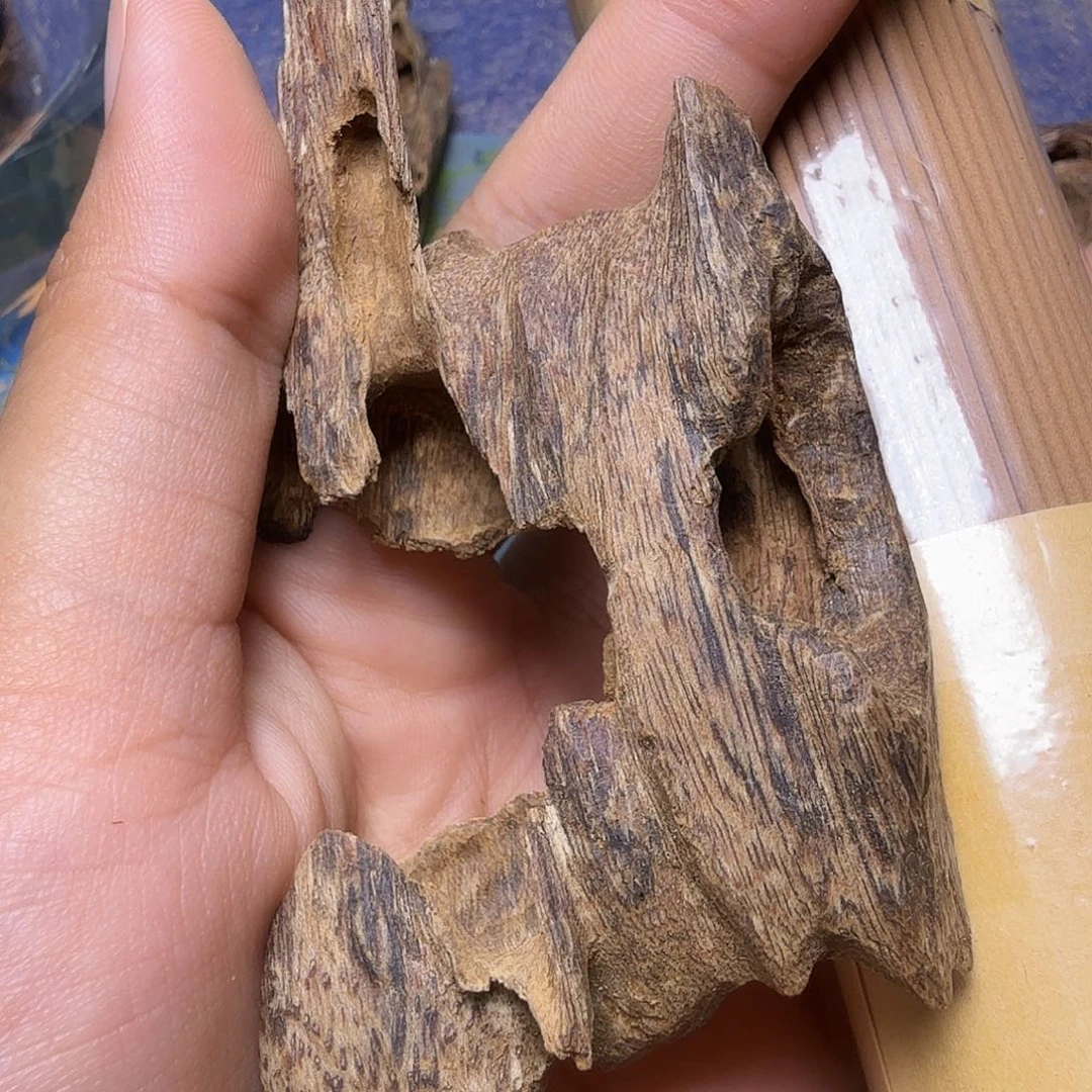 h***n海南土沉树心虫漏10克重