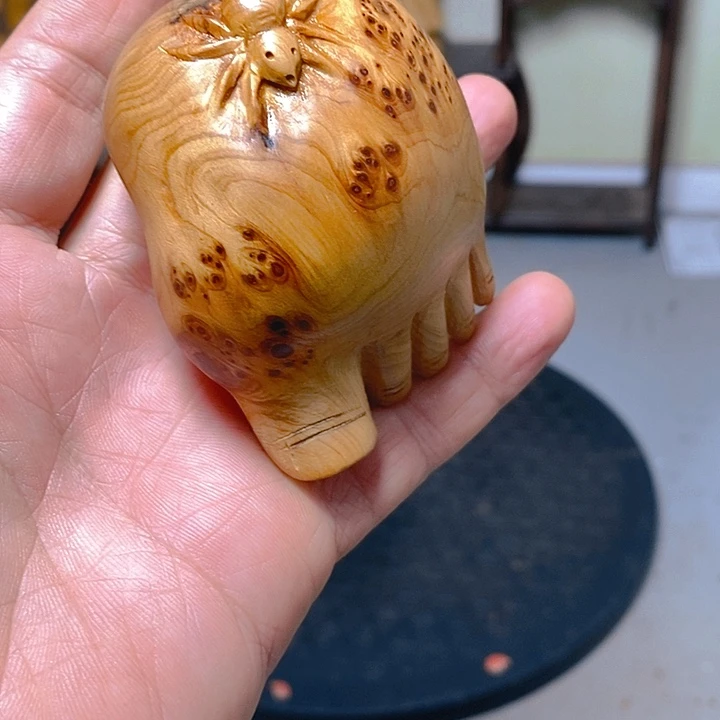 柏木（崖柏）旺**连太行大峡谷崖柏