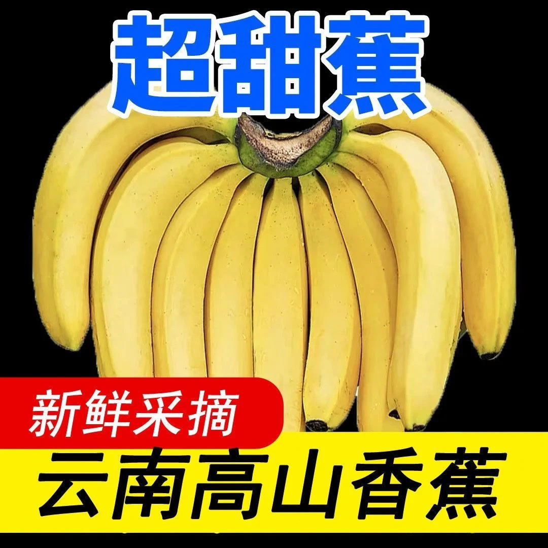 云南高山香蕉当季新鲜现摘软糯香甜薄皮水果