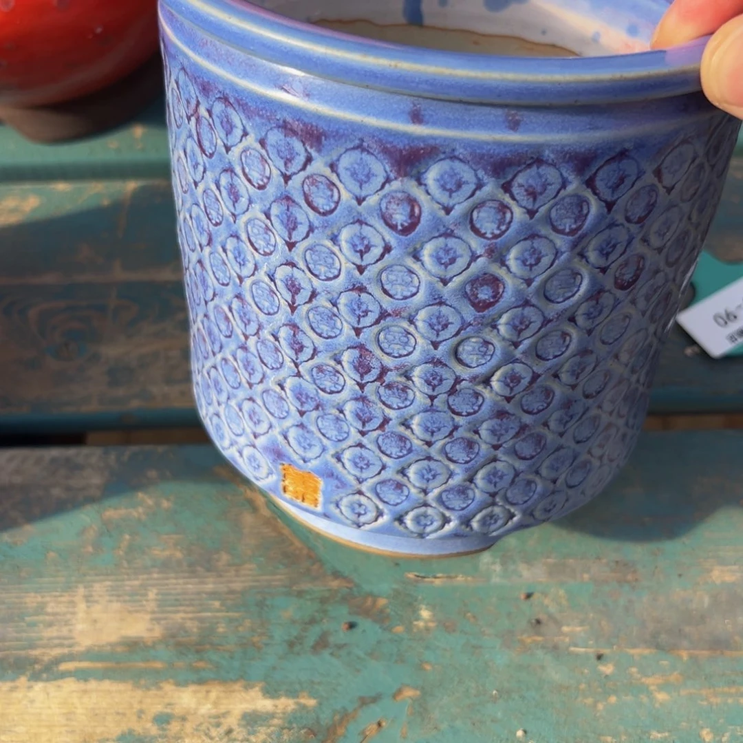 多肉一物一拍0531-2