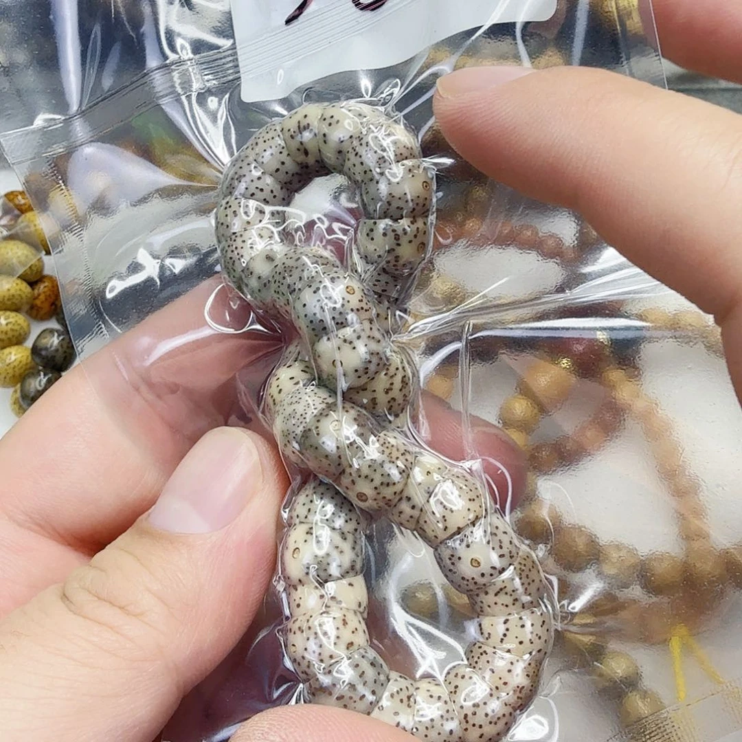 星月菩提手串9星月菩提大肠单圈1.0