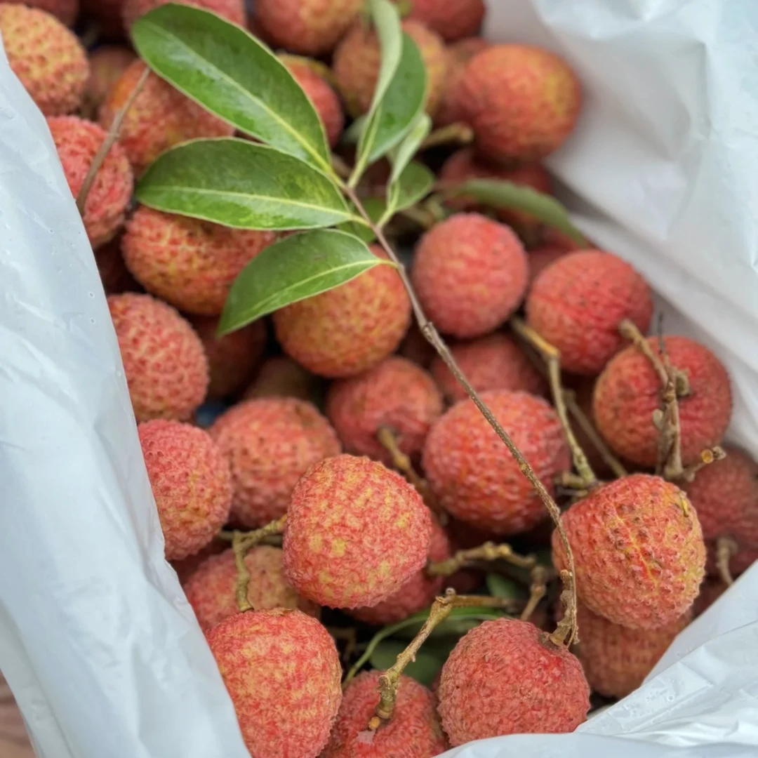 广东桂味荔枝 500g