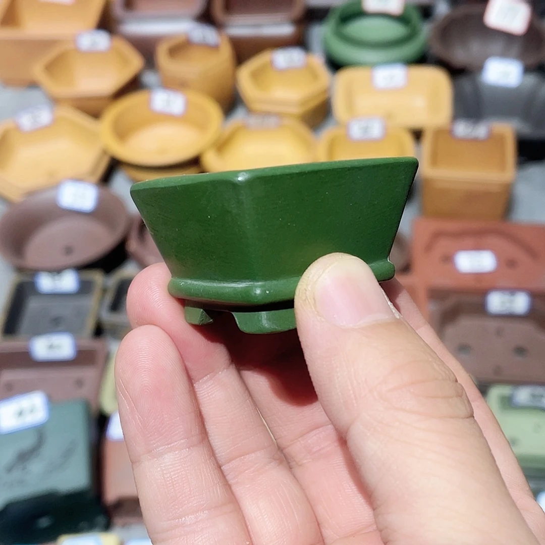 紫砂小盆3*2cmmmmm