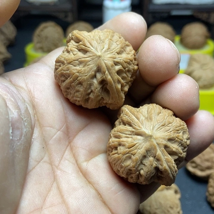 核桃铁锤妹妹005