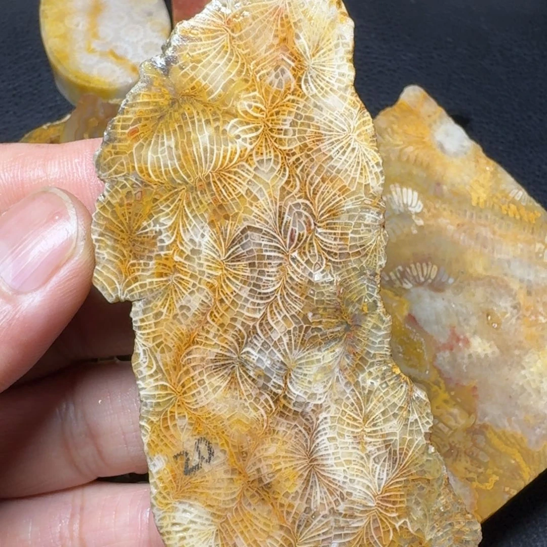 硅化玉原石 片料未镶嵌