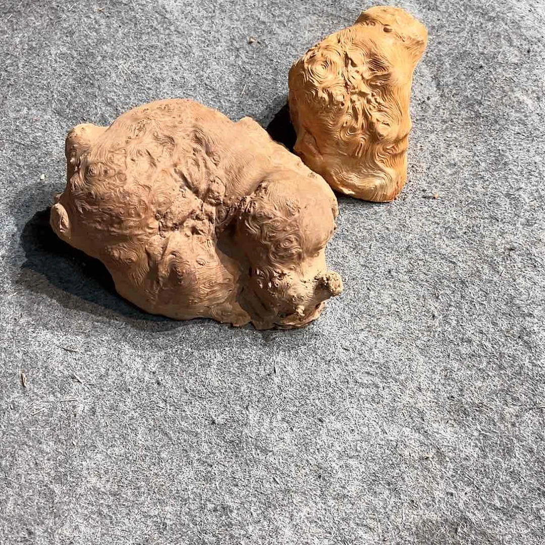 荔枝木溯**勒2个荔枝木毛料