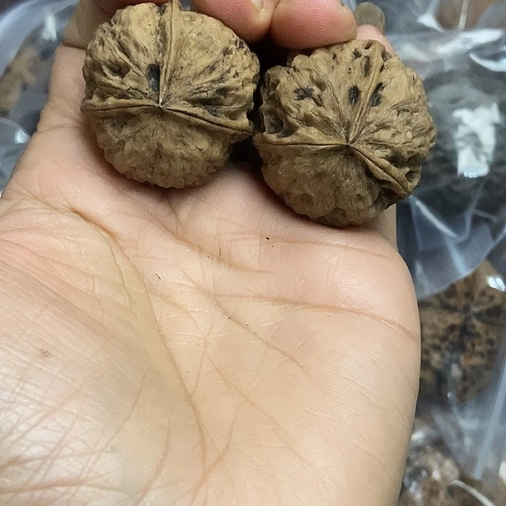 文玩核桃把件云南铁核桃基地17
