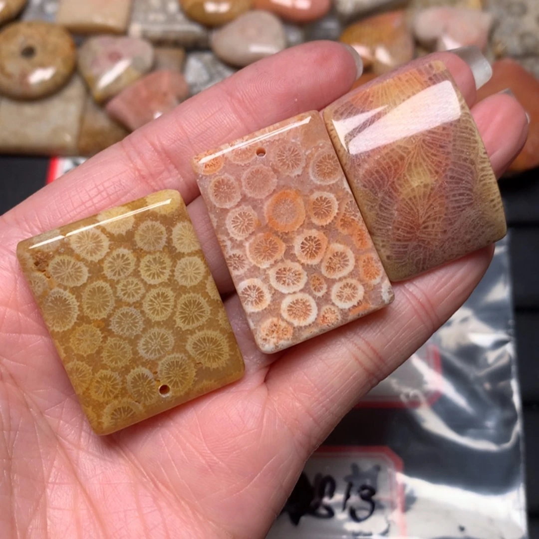 【闪购商品】硅化玉颈饰未镶嵌畔*