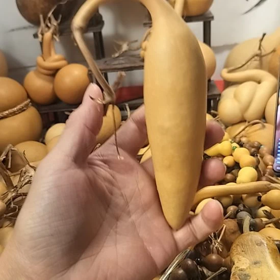 南***湾直播间专供链接葫芦链接