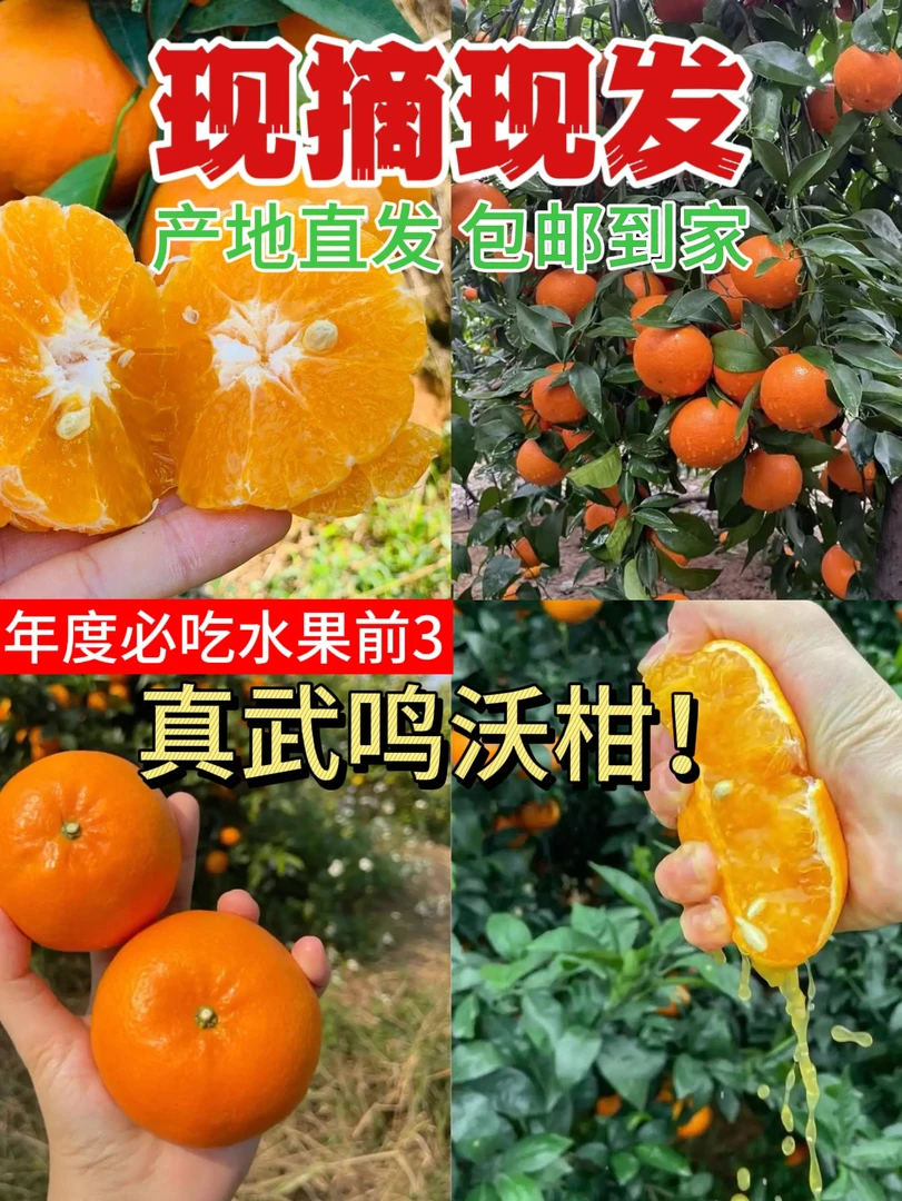 【带箱9.8斤】广西武鸣沃柑树上熟产地直发当季新鲜水果 皮薄多汁