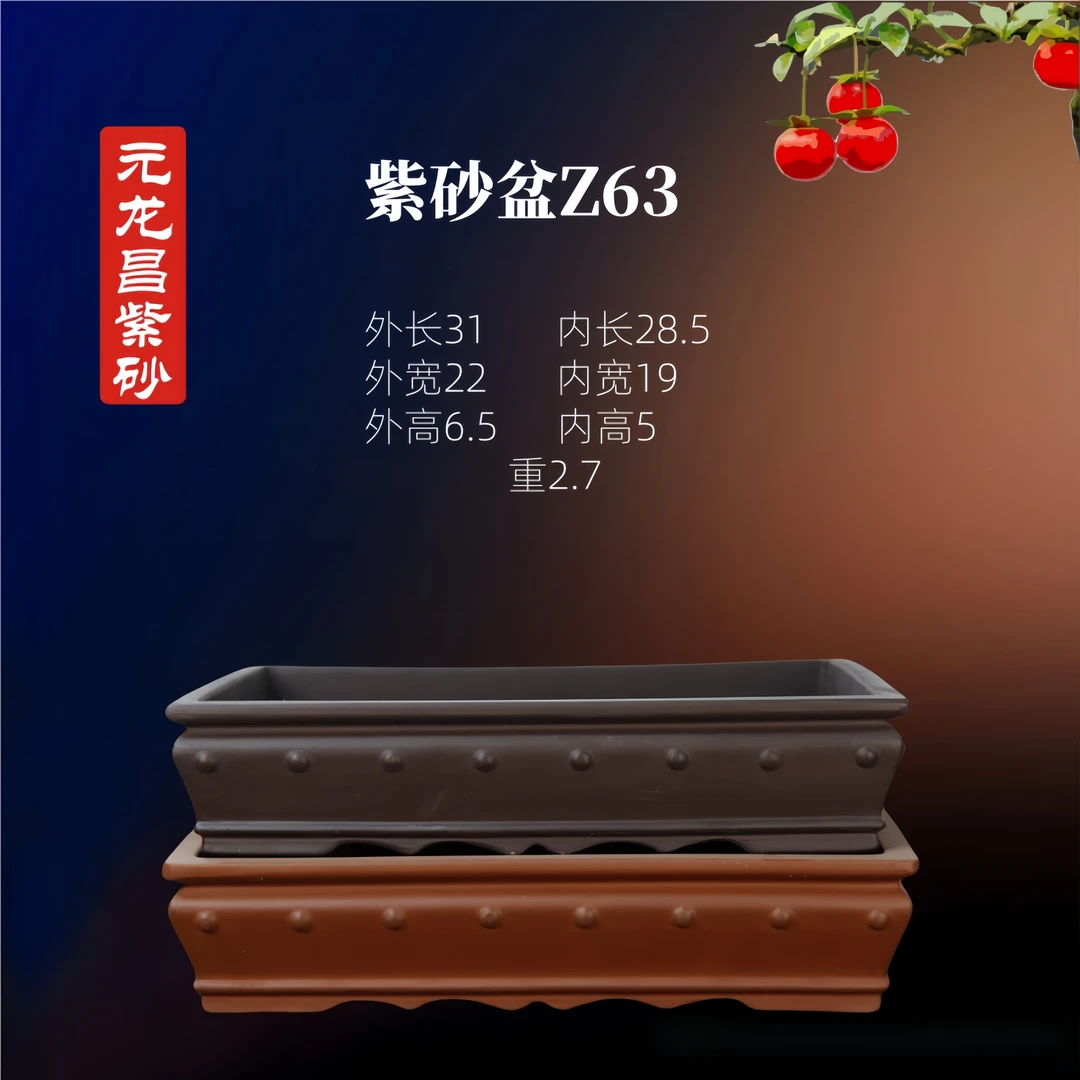 宜兴紫砂盆金弹子绿植盆景