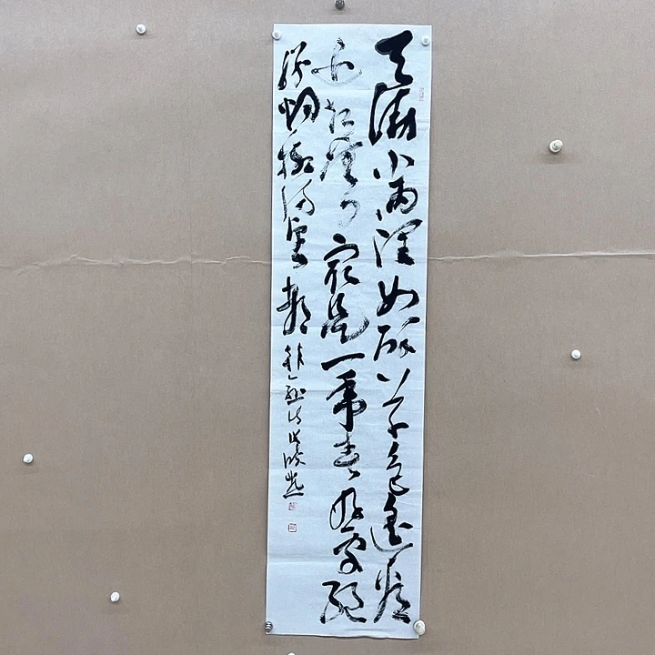 书法张晓燕138*34㎝甘肃LS