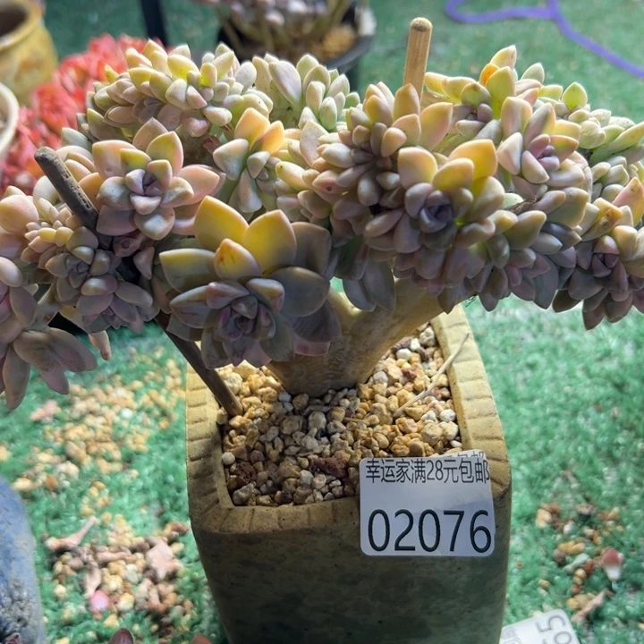 幸运的是我还没遇到