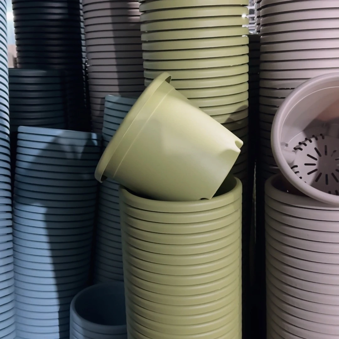 塑料四季盆3号果绿10个带拖