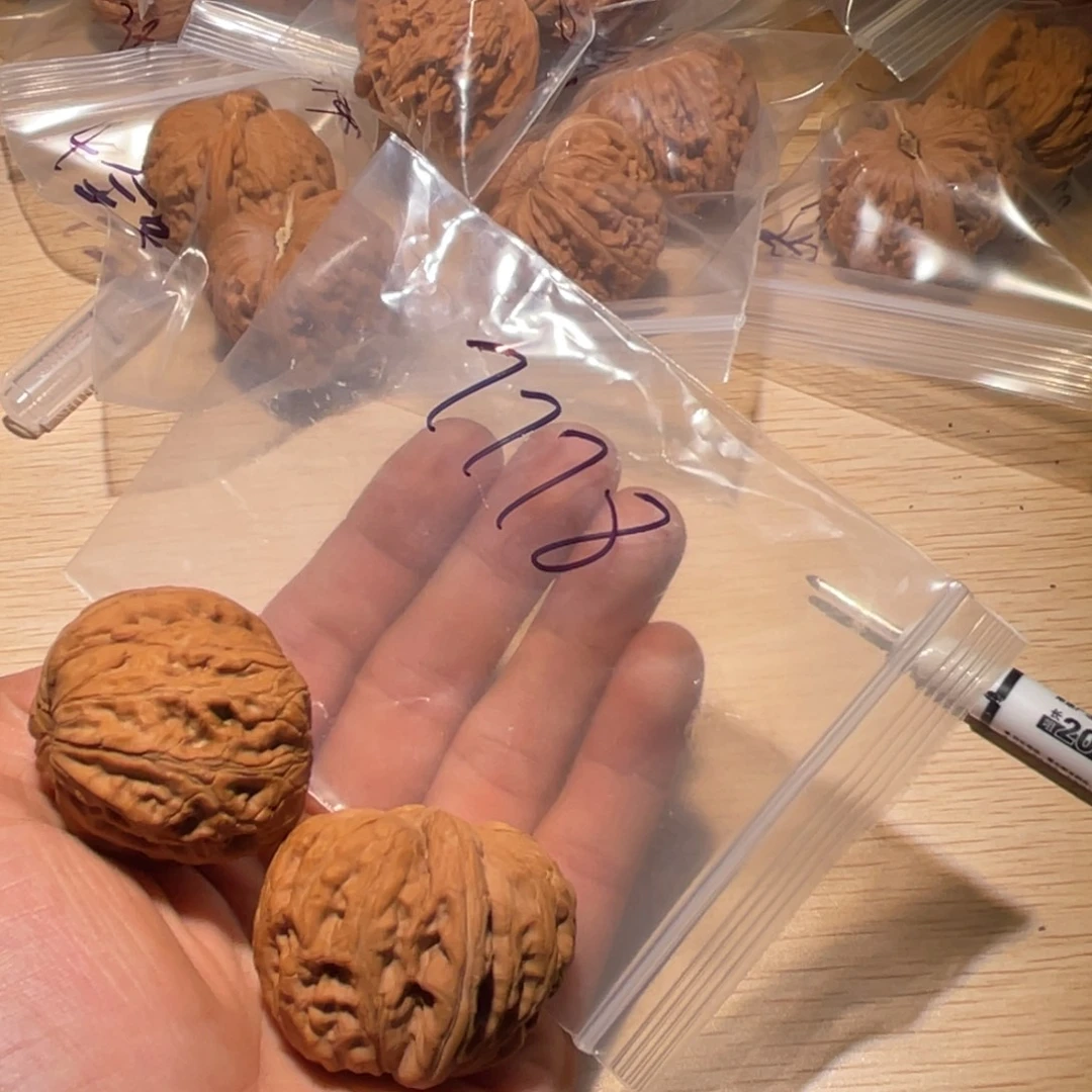 嗨***皮手串/手链核桃7778