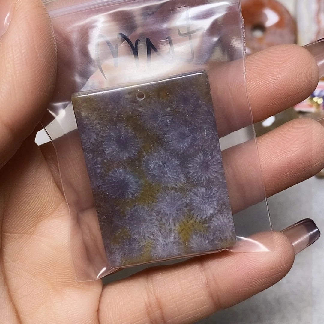 硅化玉颈饰未镶嵌t**n