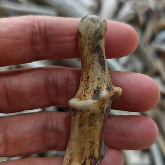 木质纯铜黄皮怪形小鹿角上个链接