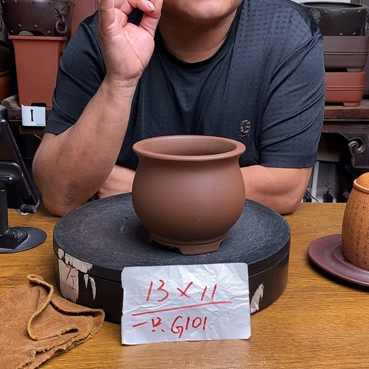 紫砂货号一只G101