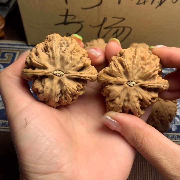 吊坠文玩核桃?*?粗筋