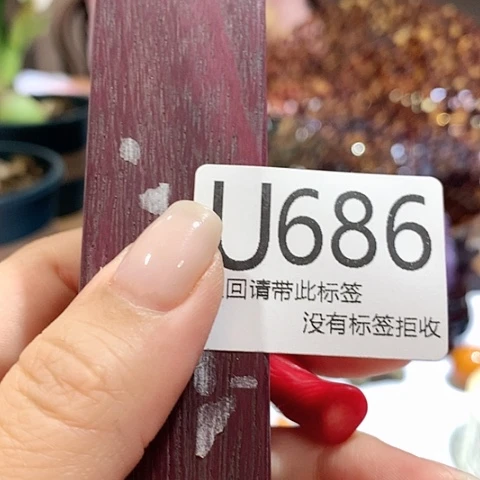大叶紫檀（黑酸枝木类）686