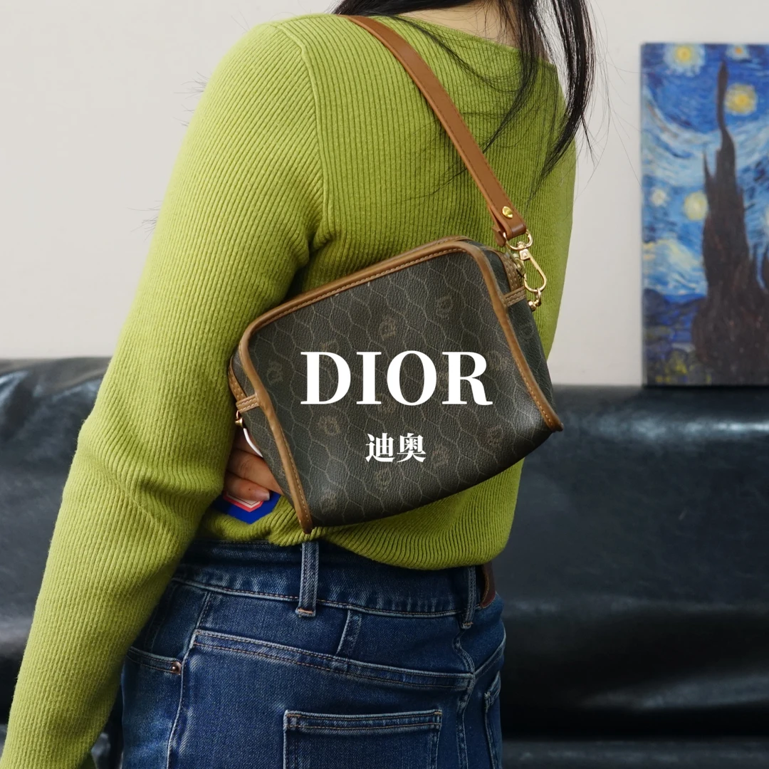 95新 DIOR/迪奥 老花单肩包/MX11609001/9001