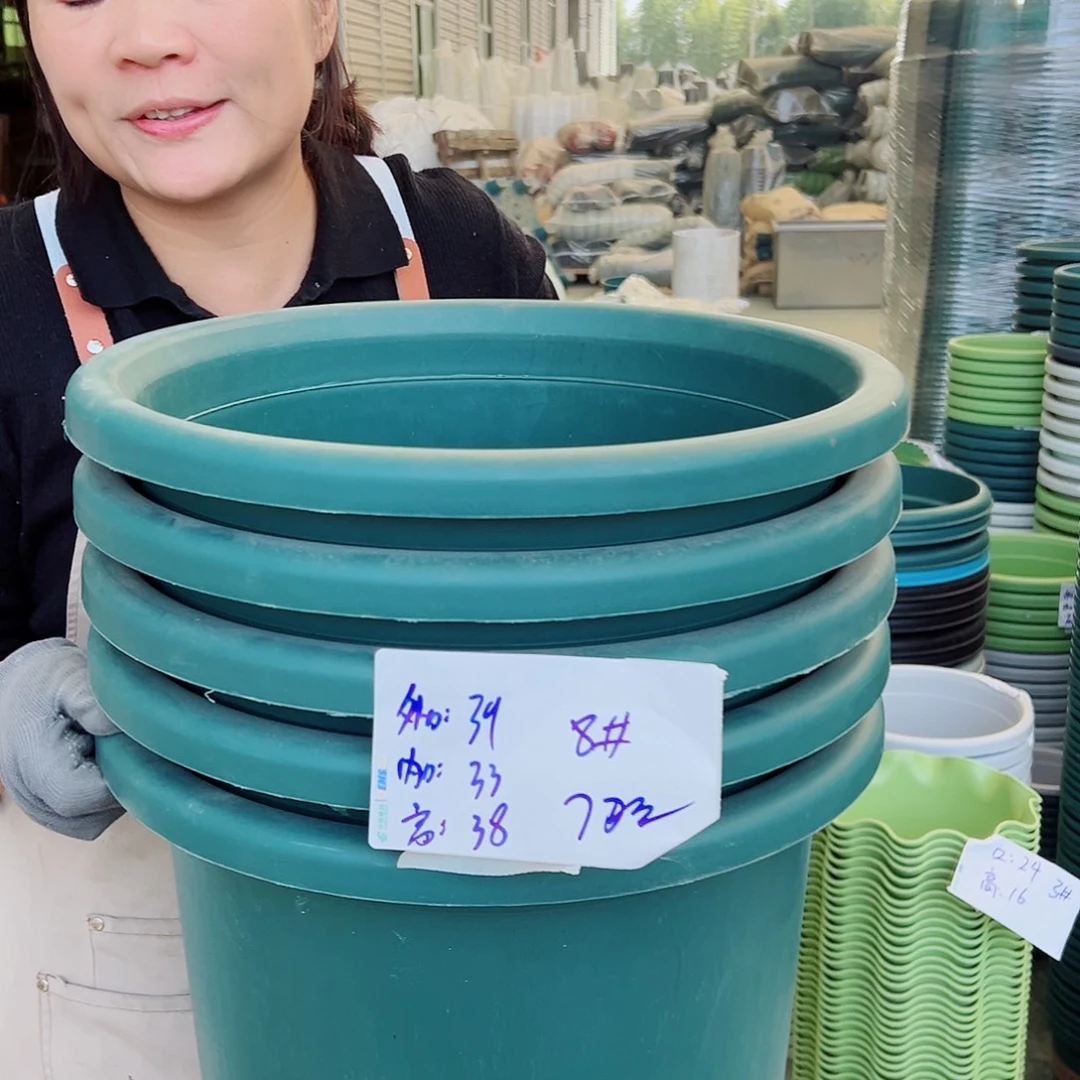 四季盆8#墨绿色5个无托