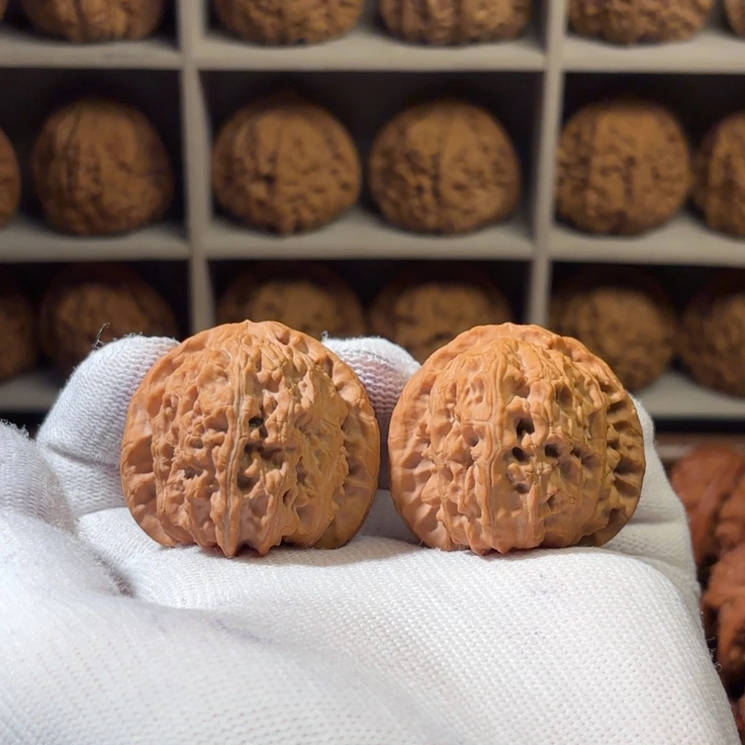 把件文玩核桃41尺全品白狮子