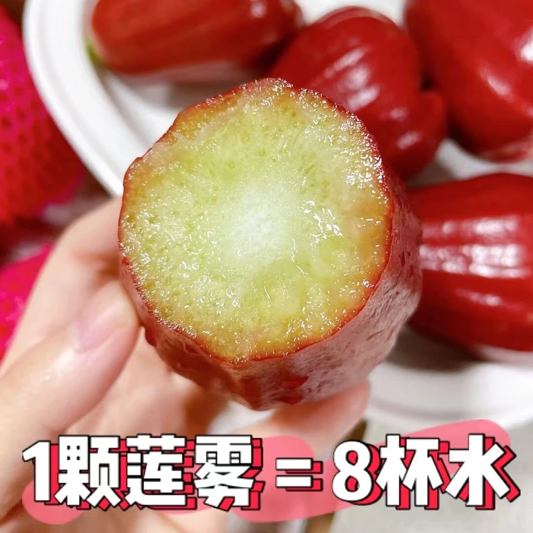 补水神器莲雾3粒装