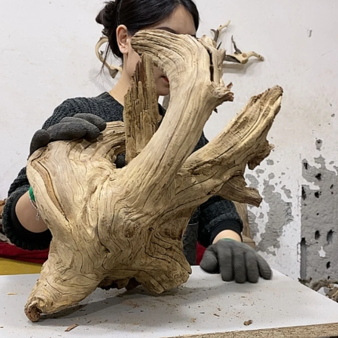 【闪购商品】柏木乐*我们都是好孩子