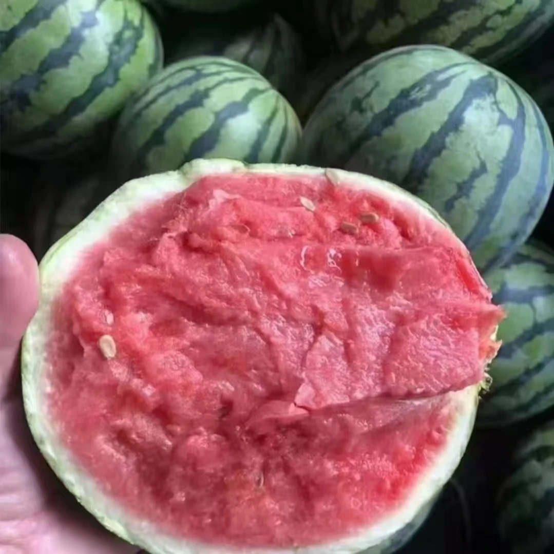 【新疆顺丰包邮】吐鲁番小糖丸西瓜1.8-4公斤一件