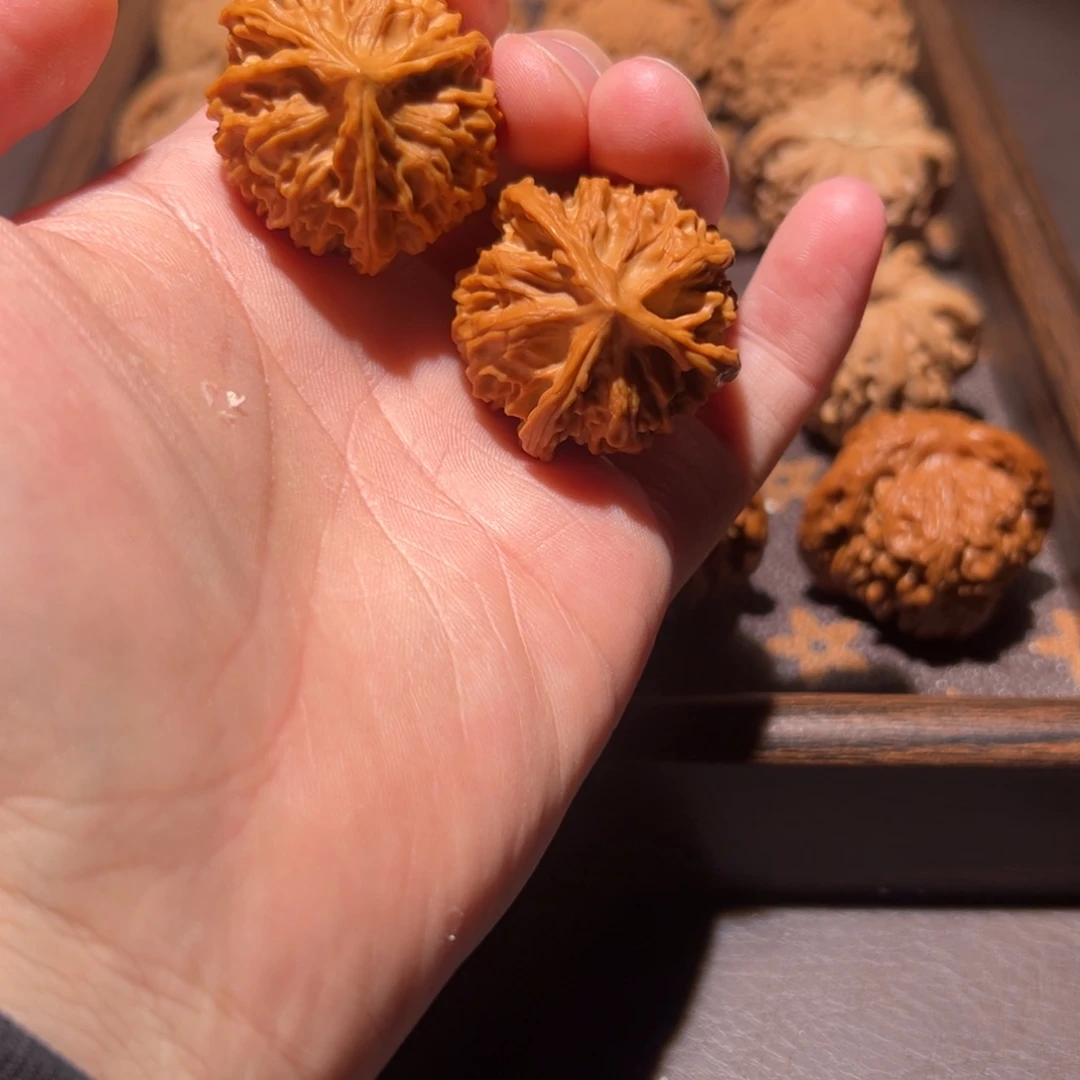 核桃34全品岐山三棱