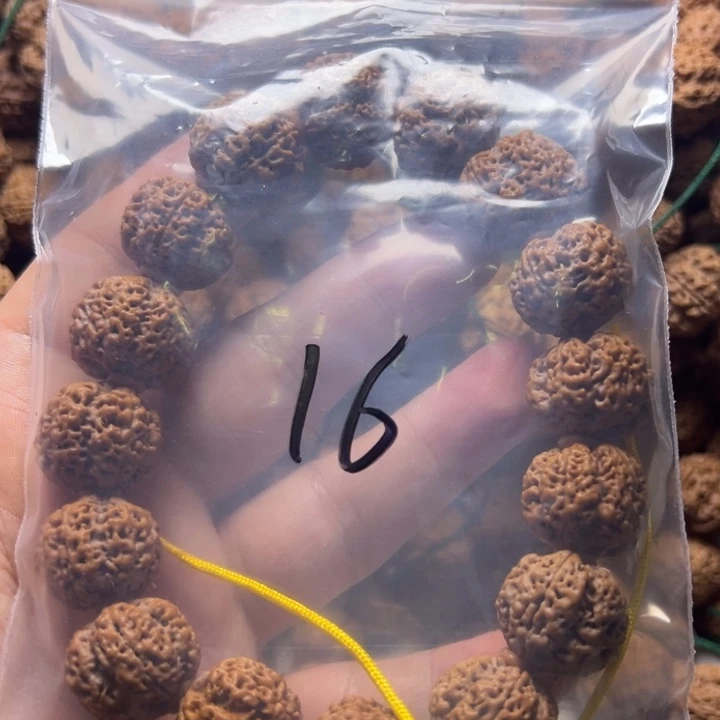 金刚菩提吊坠16号金刚