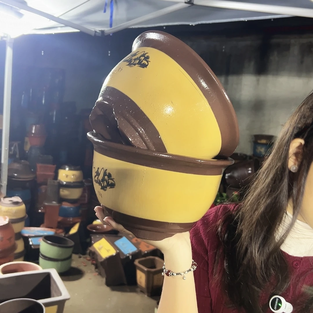 21+21黄色三角金钟花盆花盆