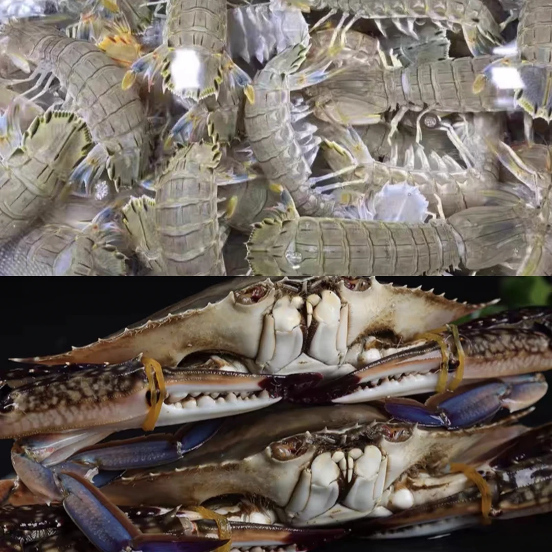 皮皮虾+鲜活蟹混搭装（个小介意勿拍，保鲜不保活，个别掉退属于正常）