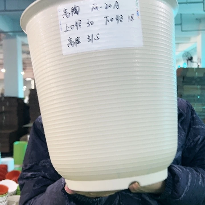正品高陶口30高31米色无托3只