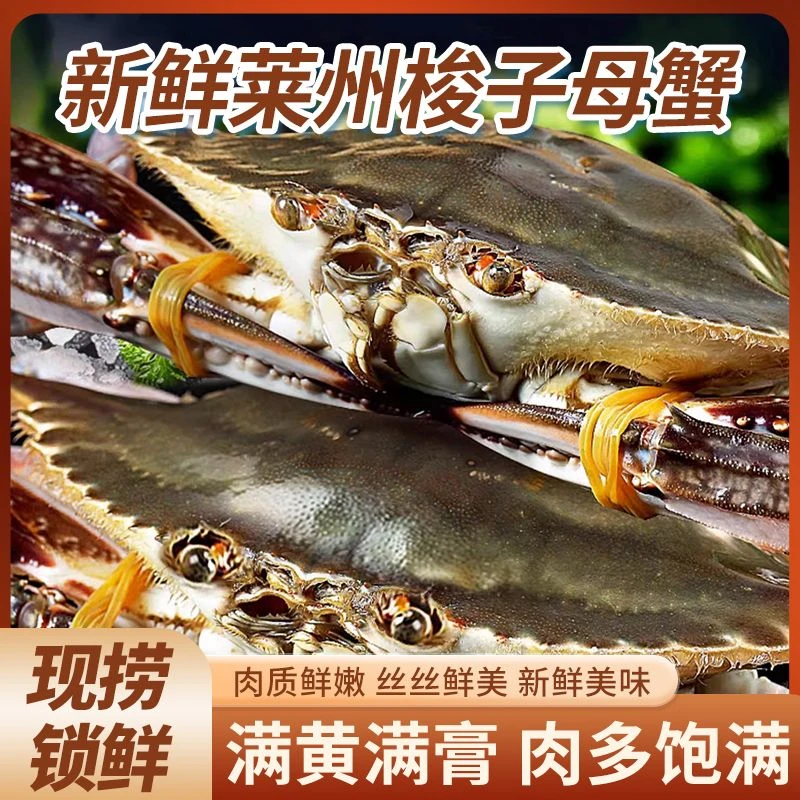 莱州湾梭子蟹，顶盖肥母蟹单只3两，鲜活发货【保鲜不保活】斤