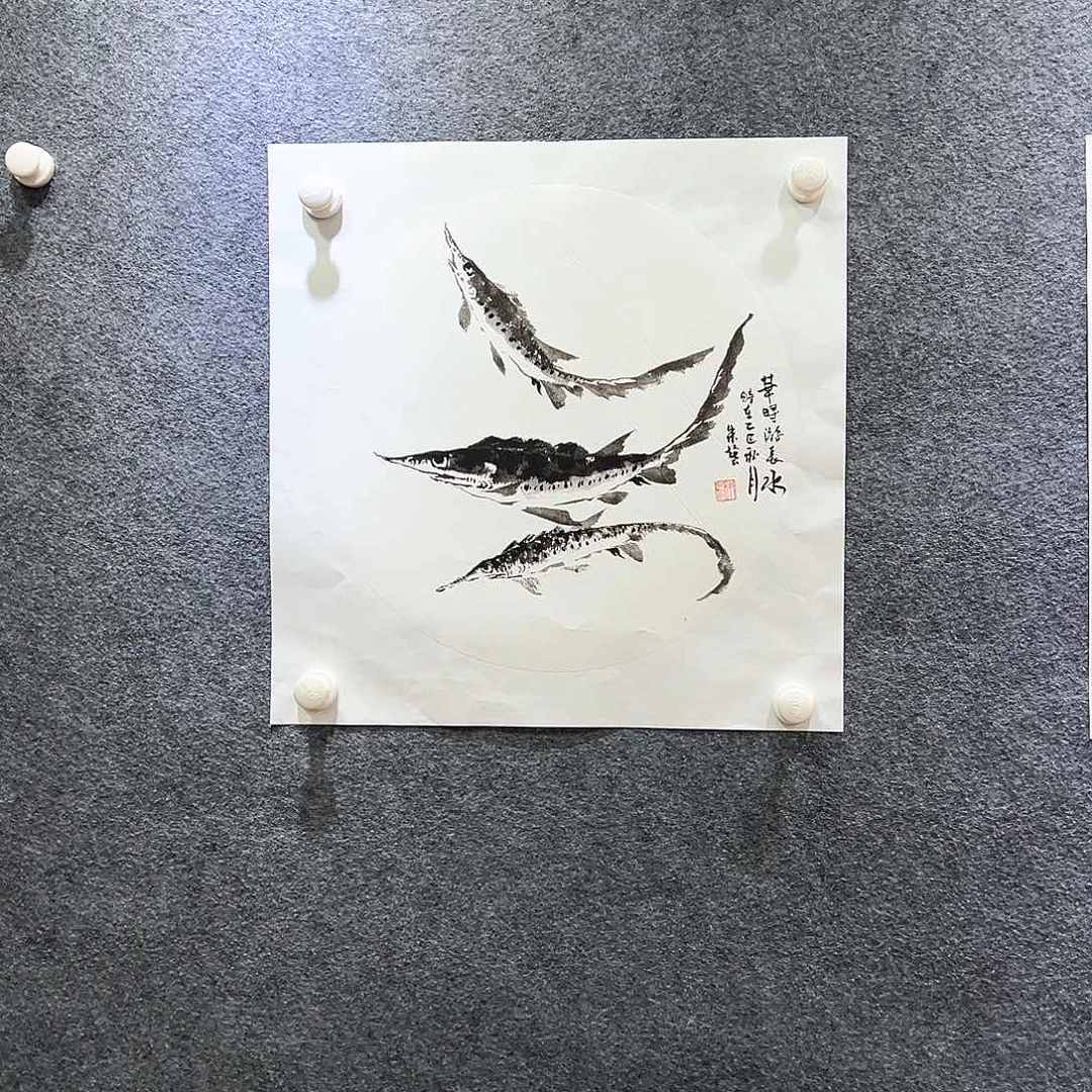 国画知鱼知乐纯手绘