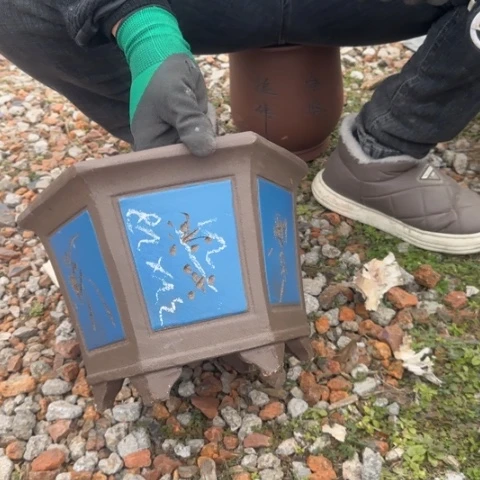 紫砂花盆紫砂花盆盆景盆栽