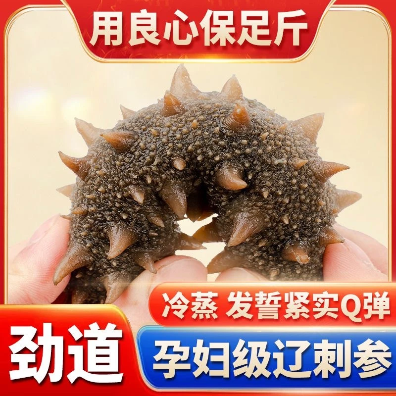 3斤高品质鲜食海参大个头海参 正宗大连海参 开袋就能吃 500g/袋