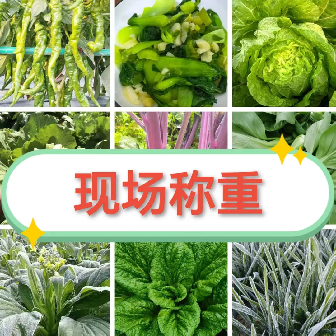 冬季美食农家味道家乡味道