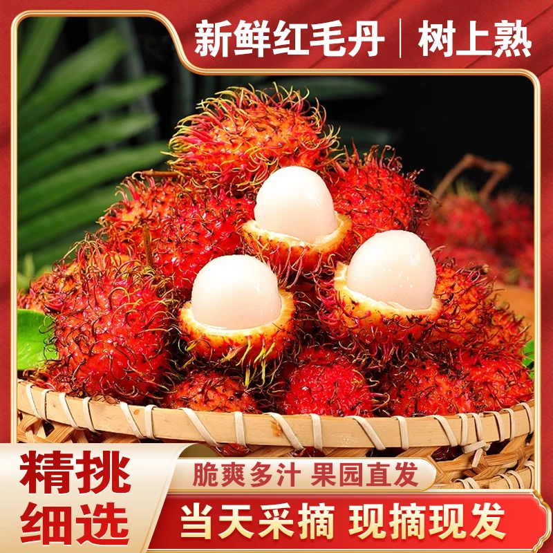 【京东顺丰空运】树熟红毛丹热带当季水果孕妇小孩均可食用D