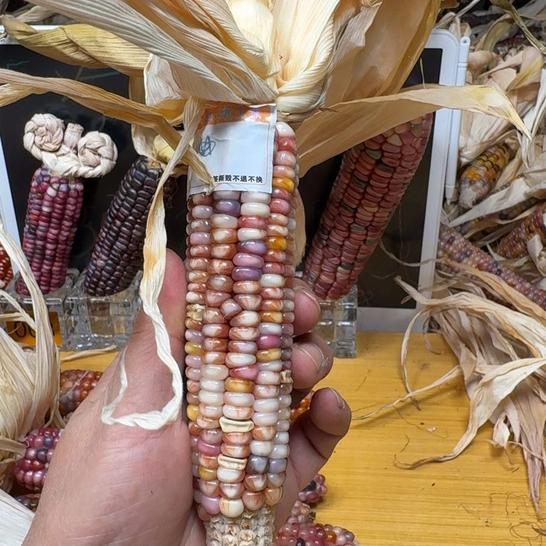 雾***里柏香籽/百香籽吊坠