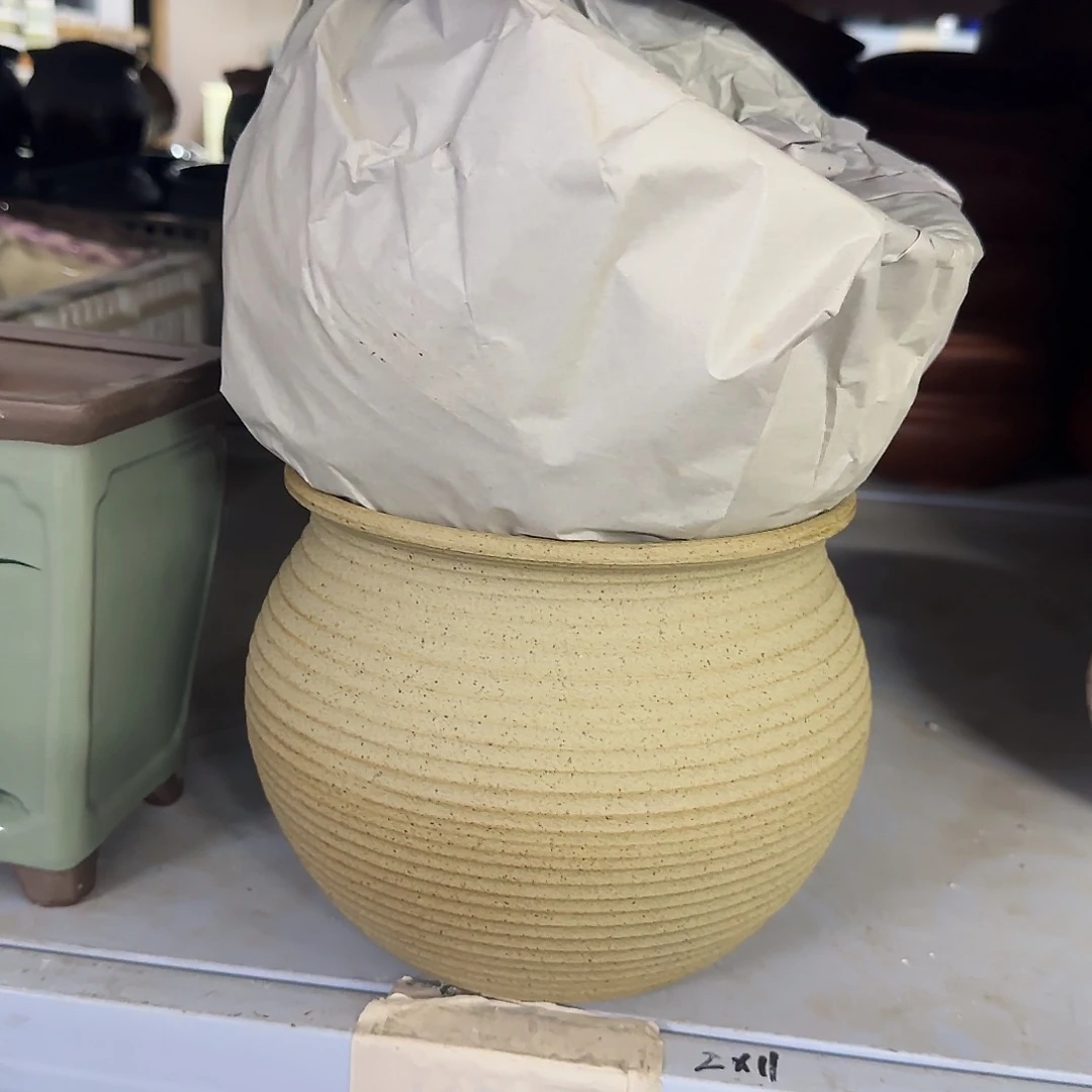 2个福利局［凑9元包邮24小时发］5023