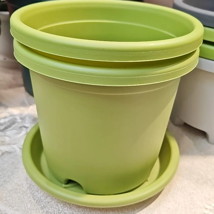 树脂四季盆外口径17，果绿带托5个
