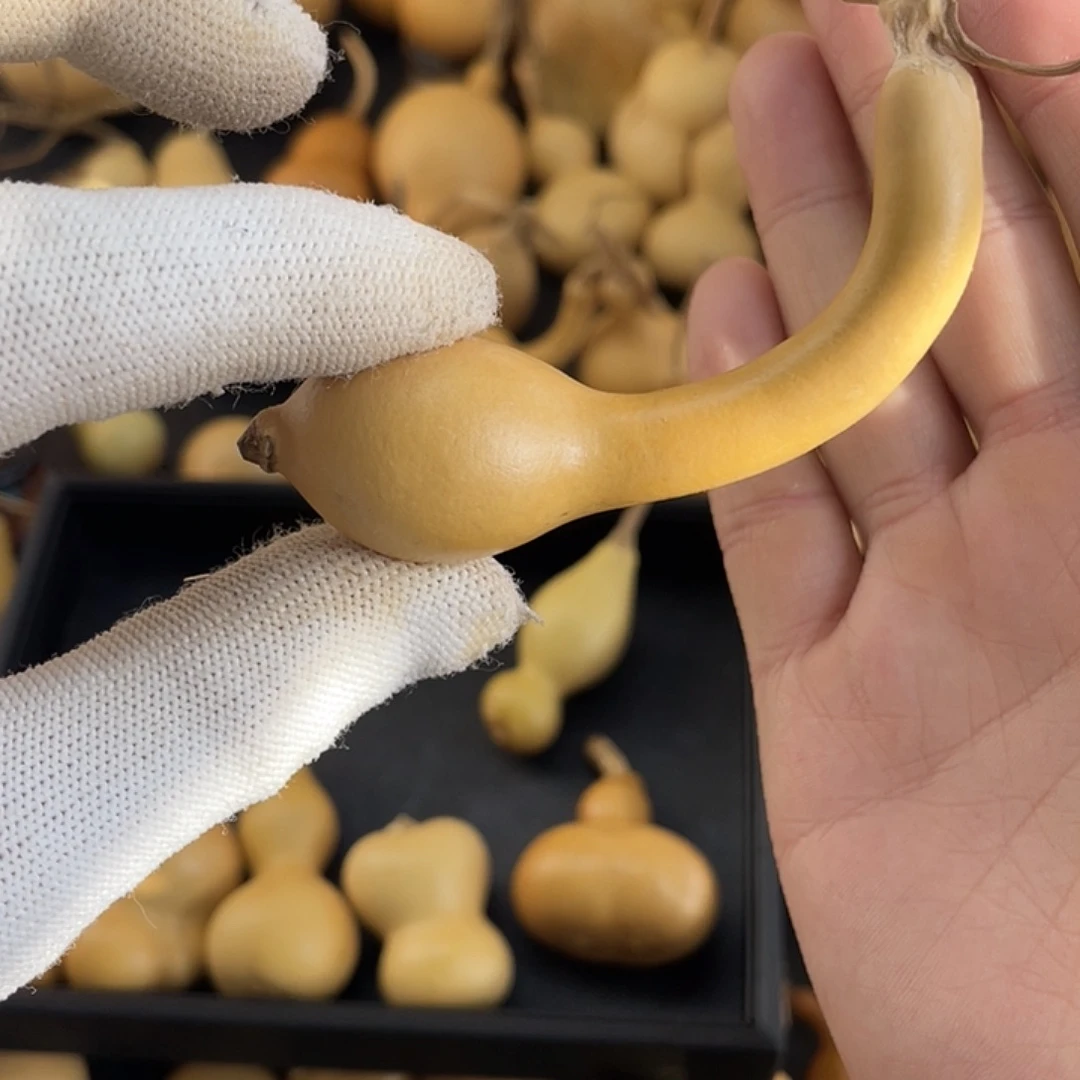 烟****大叶紫檀（黑酸枝木类）