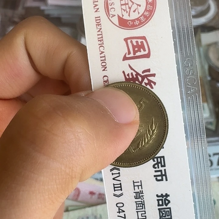 Y***T好品81……………………5……